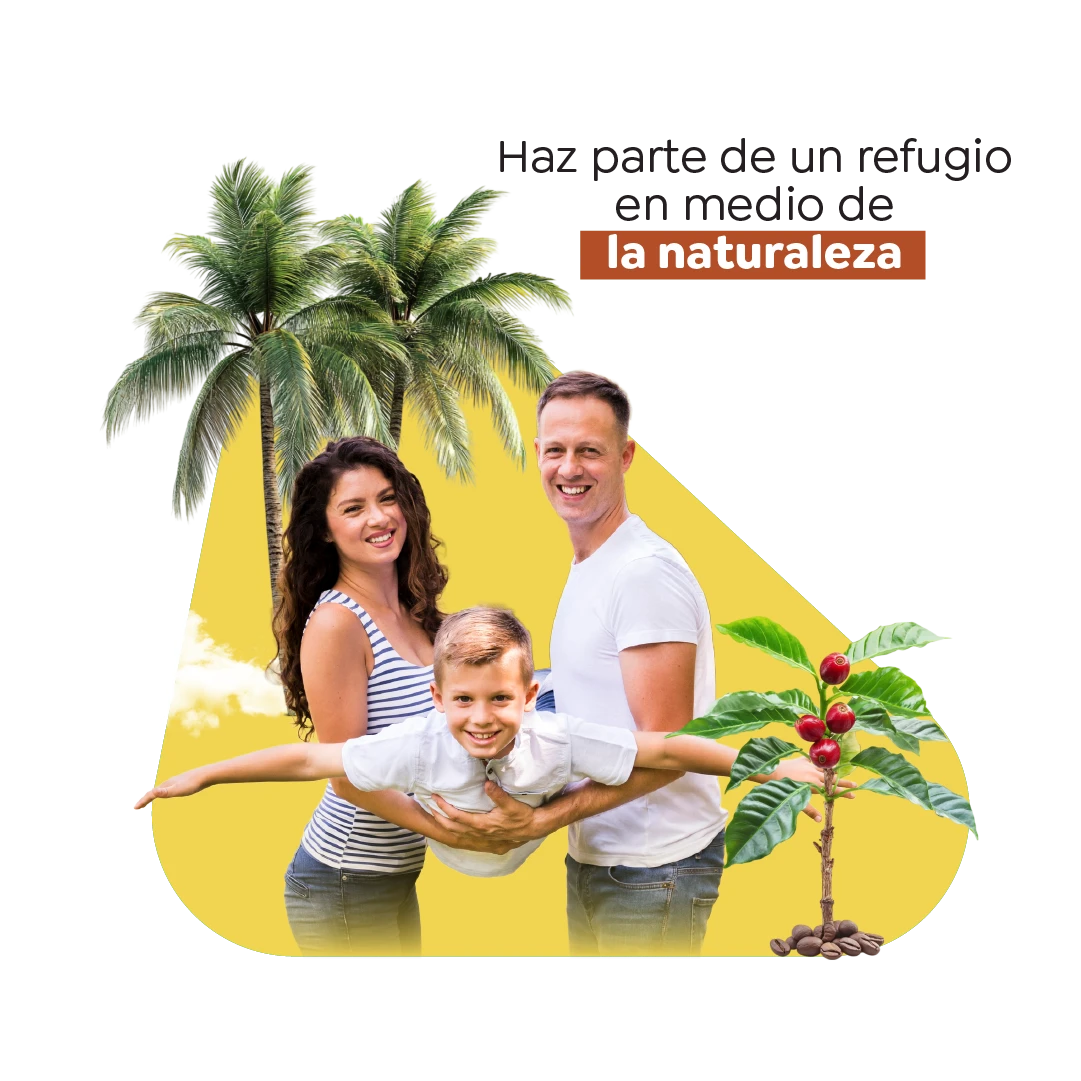 ankora-galeria-banners-1