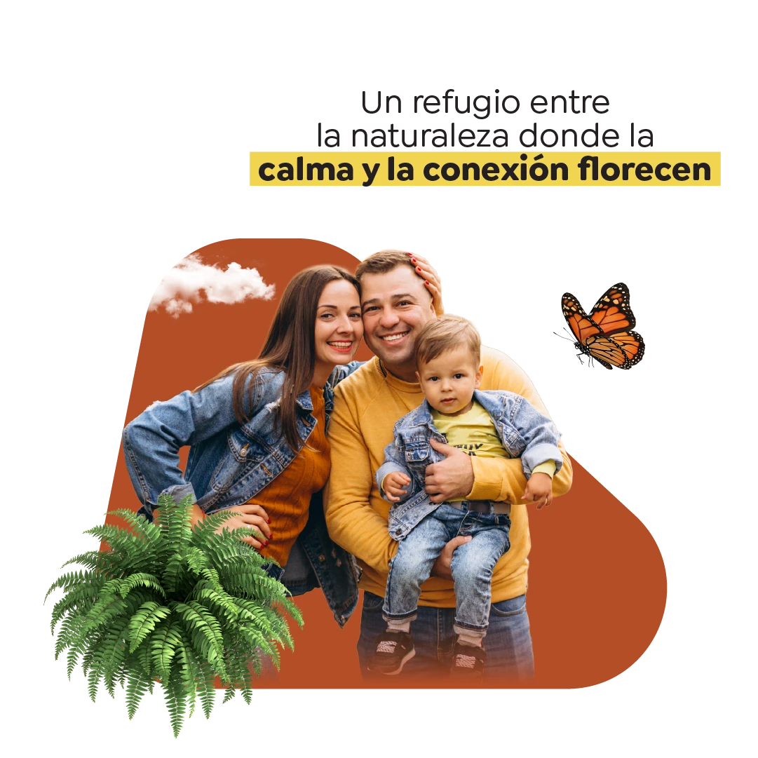 ankora-galeria-banners-2
