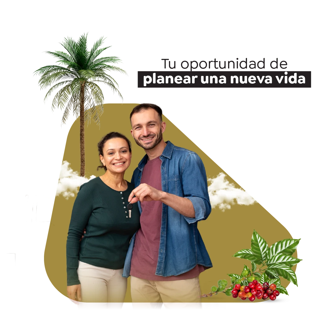 ankora-galeria-banners-3